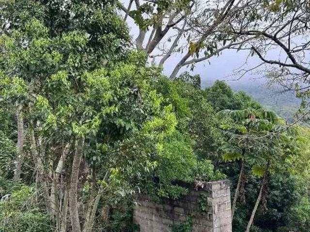 Terreno venda em Região Geográfica Imediata de Itajaí, Balneario Camboriú