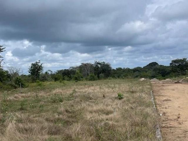 Terreno venda em Barra de Santo Antônio