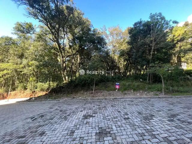 Terreno venda em Região Geográfica Imediata de Bento Gonçalves, Bento Gonçalves
