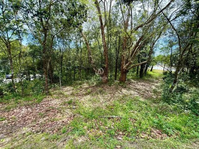 Terreno venda em Bento Gonçalves, Região Geográfica Intermediária de Caxias do Sul