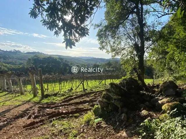 Terreno venda em Região Geográfica Imediata de Bento Gonçalves, Bento Gonçalves