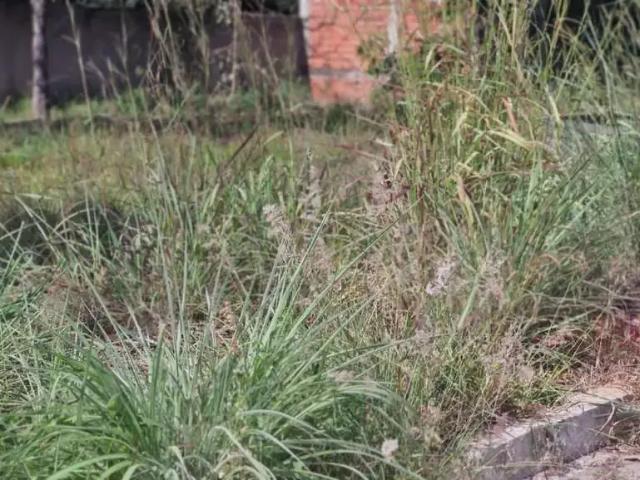 Terreno venda em Região Geográfica Imediata do Distrito Federal, Região Integrada de Desenvolvimento do Distrito Federal e Entorno