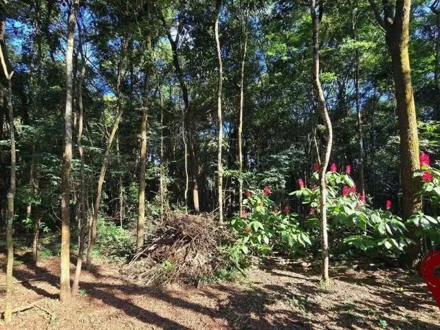 Terreno venda em Região Geográfica Imediata de Belo Horizonte, Região Metropolitana de Belo Horizonte