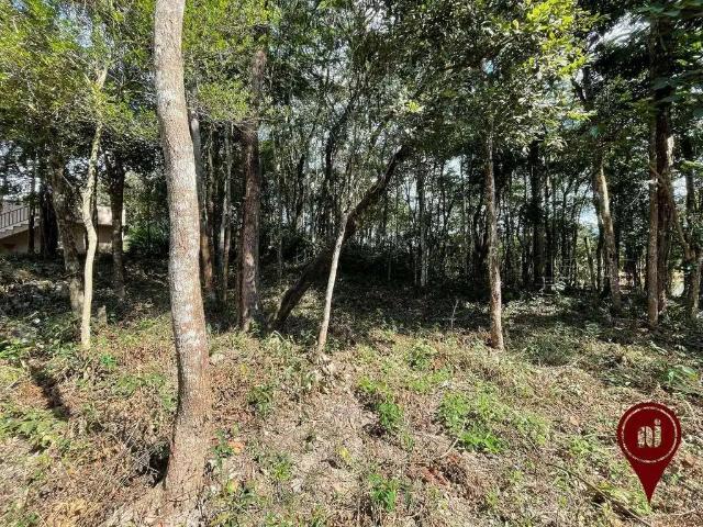 Terreno venda em Região Geográfica Imediata de Belo Horizonte, Região Metropolitana de Belo Horizonte
