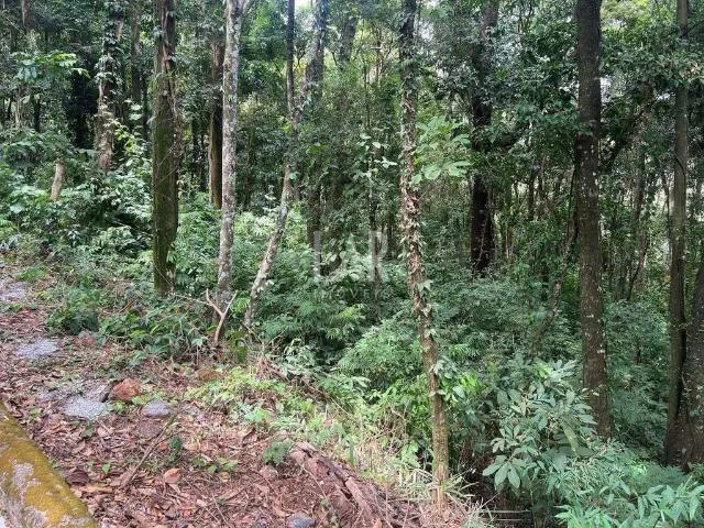 Terreno venda em Região Geográfica Imediata de Belo Horizonte, Região Metropolitana de Belo Horizonte