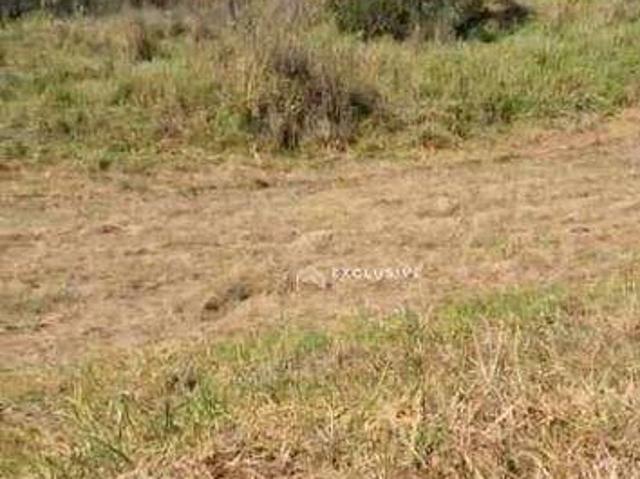 Terreno venda em Parque Residencial Maria Elmira, Caçapava