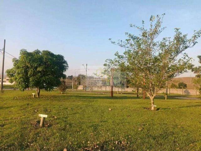 Terreno venda em Caçapava