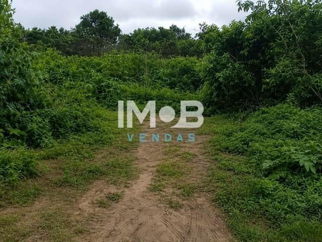 Terreno venda em Região Geográfica Imediata de Cabo Frio, Cabo Frio