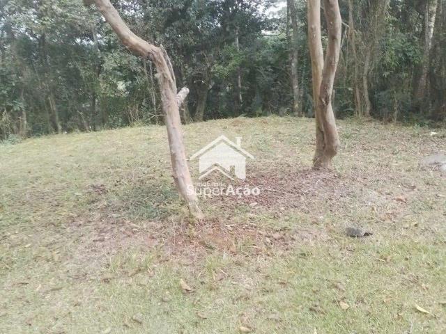 Terreno venda em Parque Suiça, Caieiras
