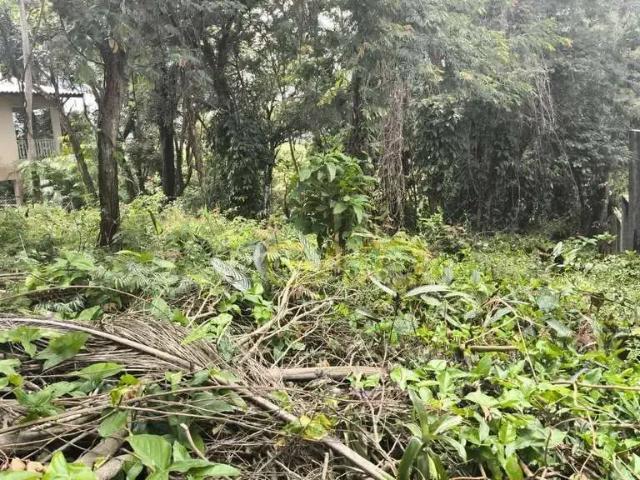 Terreno venda em Vila Abrão, Cajamar