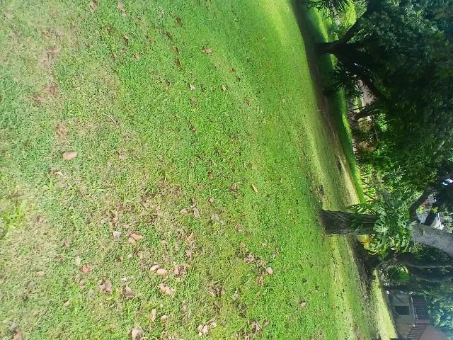 Terreno venda em Região Geográfica Imediata de Salvador, Região Metropolitana de Salvador