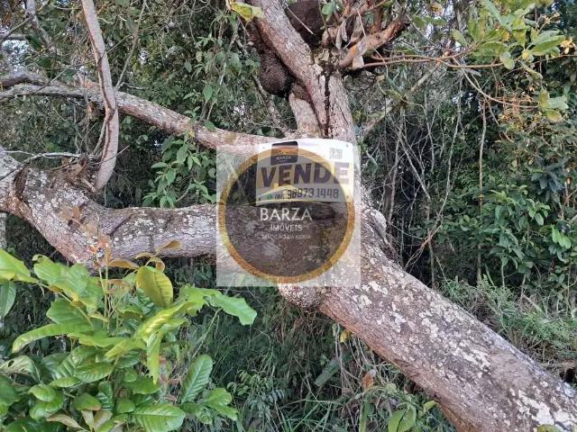 Terreno venda em Região Geográfica Imediata do Recife, Região Metropolitana do Recife