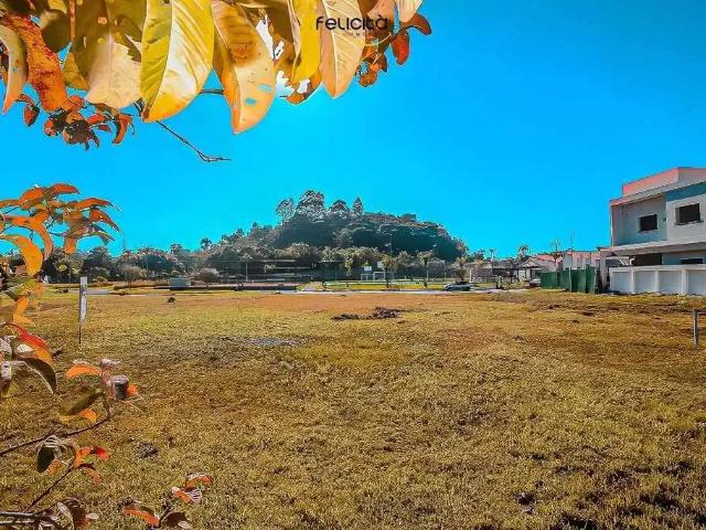 Terreno venda em Região Geográfica Imediata de Itajaí, Camboriú