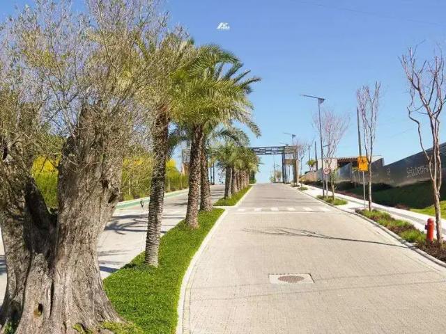 Terreno venda em Região Geográfica Imediata de Itajaí, Camboriú