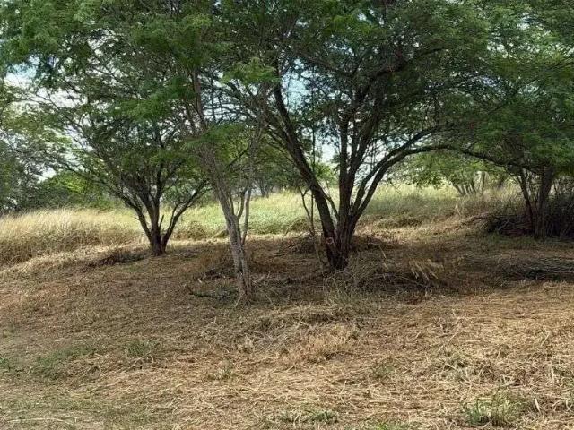 Terreno venda em Região Geográfica Imediata de Campina Grande, Região Metropolitana de Campina Grande