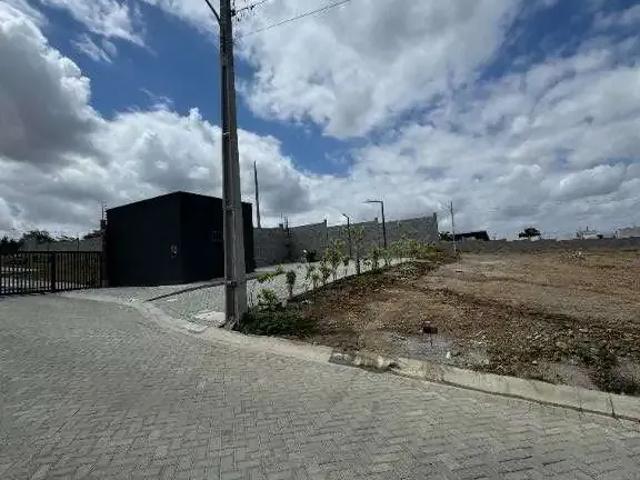 Terreno venda em Região Geográfica Imediata de Campina Grande, Região Metropolitana de Campina Grande