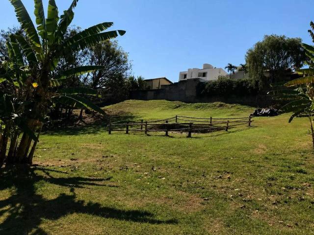 Terreno venda em Bairro das Palmeiras, Campinas
