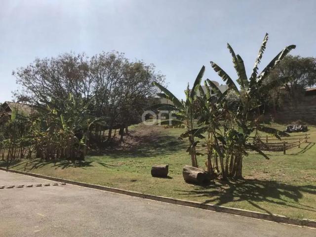 Terreno venda em Bairro das Palmeiras, Campinas