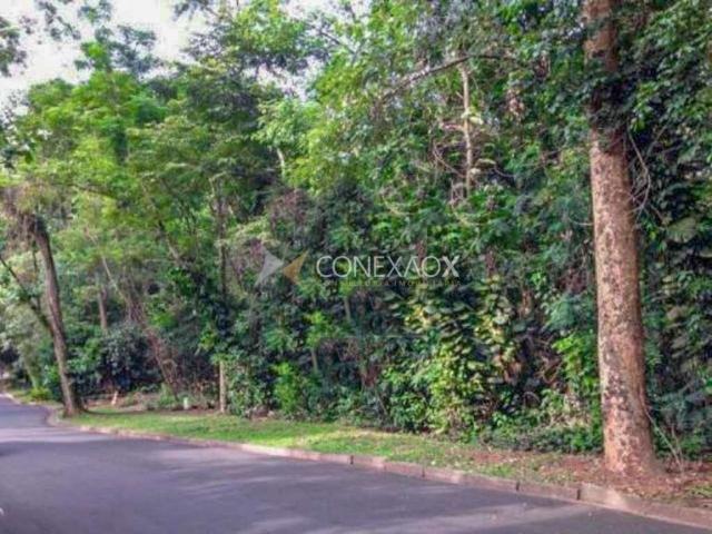 Terreno venda em Chácara Primavera, Campinas