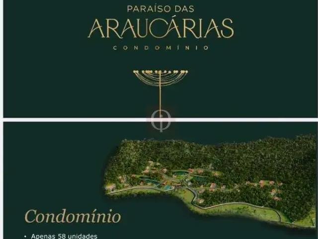 Terreno venda em Região Geográfica Imediata de São Bento do Sul-Rio Negrinho, Campo Alegre