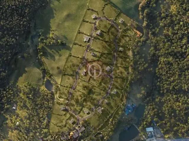 Terreno venda em Região Geográfica Imediata de Iporá, Palestina de Goiás