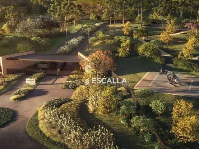 Terreno venda em Região Geográfica Imediata de São Bento do Sul-Rio Negrinho, Campo Alegre