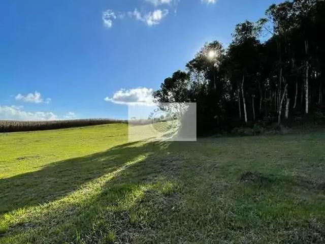 Terreno venda em Região Geográfica Imediata de São Bento do Sul-Rio Negrinho, Campo Alegre