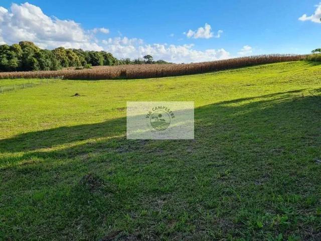 Terreno venda em Região Geográfica Imediata de São Bento do Sul-Rio Negrinho, Campo Alegre