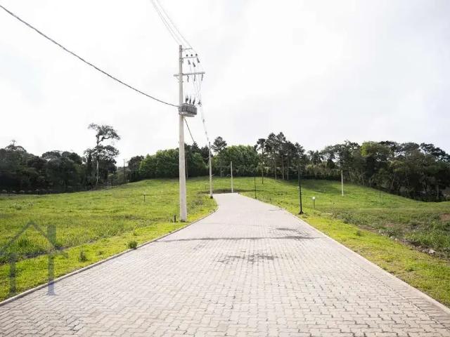 Terreno venda em Região Geográfica Imediata de São Bento do Sul-Rio Negrinho, Campo Alegre