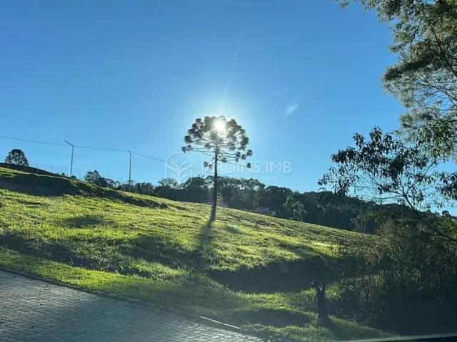 Terreno venda em Região Geográfica Imediata de São Bento do Sul-Rio Negrinho, Campo Alegre
