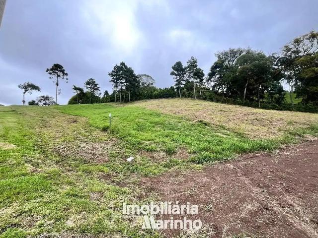 Terreno venda em Região Geográfica Imediata de São Bento do Sul-Rio Negrinho, Campo Alegre