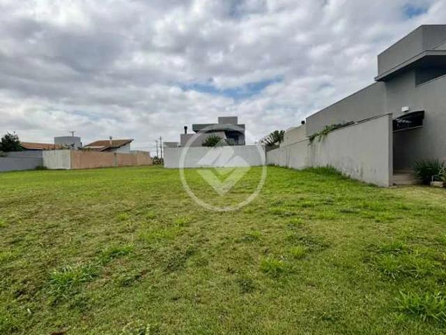 Terreno venda em Santa Fé, Campo Grande