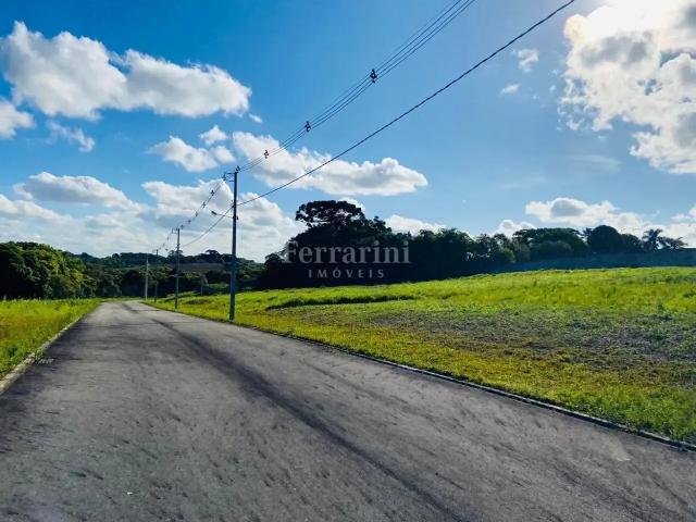 Terreno venda em Nossa Senhora do Pilar, Campo Largo