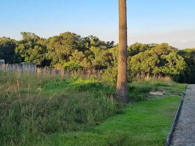 Terreno venda em Região Geográfica Imediata de Curitiba, Região Metropolitana de Curitiba