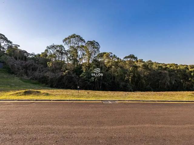Terreno venda em Campo Novo, Campo Magro
