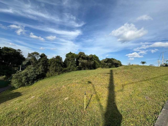 Terreno venda em Jardim Cecília, Campo Magro