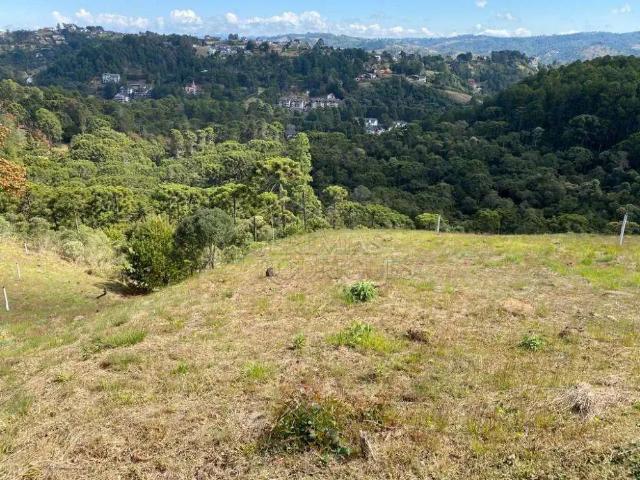 Terreno venda em Região Imediata de Taubaté-Pindamonhangaba, Região Metropolitana do Vale do Paraíba e Litoral Norte