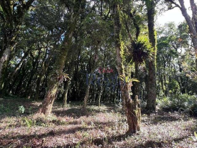 Terreno venda em Região Geográfica Imediata de Caxias do Sul, Canela
