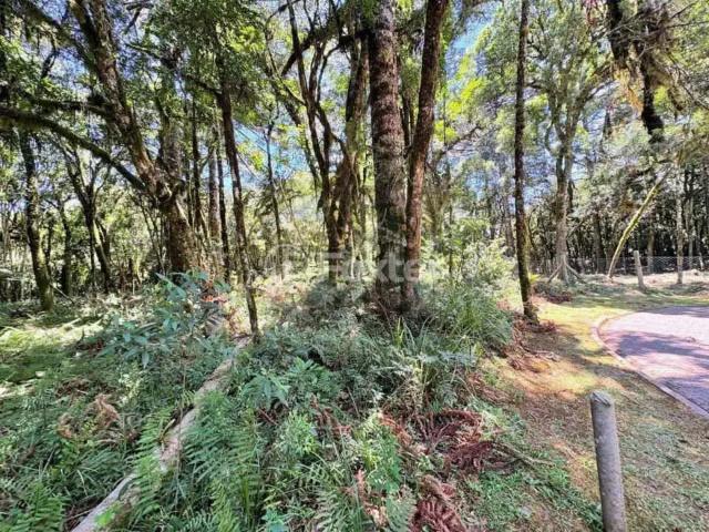 Terreno venda em Região Geográfica Imediata de Caxias do Sul, Canela