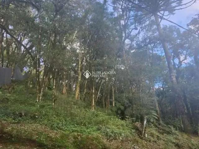 Terreno venda em Gramado