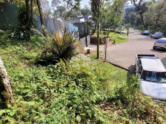 Terreno venda em Canela