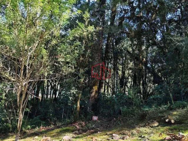 Terreno venda em Região Geográfica Imediata de Caxias do Sul, Canela