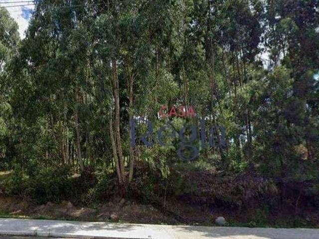 Terreno venda em Região Geográfica Imediata de Caxias do Sul, Canela