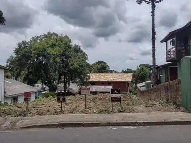 Terreno venda em Canela