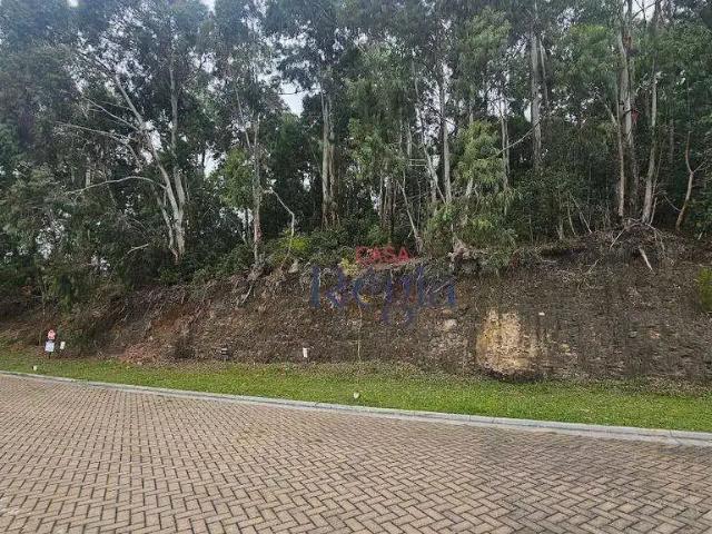 Terreno venda em Canela