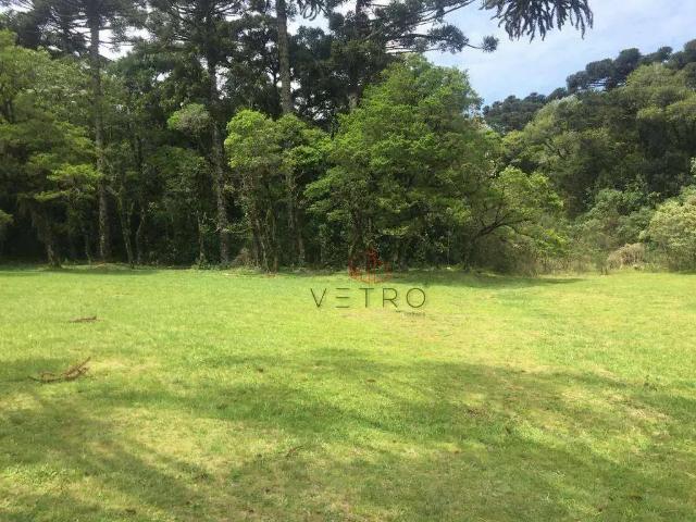 Terreno venda em Região Geográfica Imediata de Tramandaí - Osório, Aglomeração Urbana do Litoral Norte