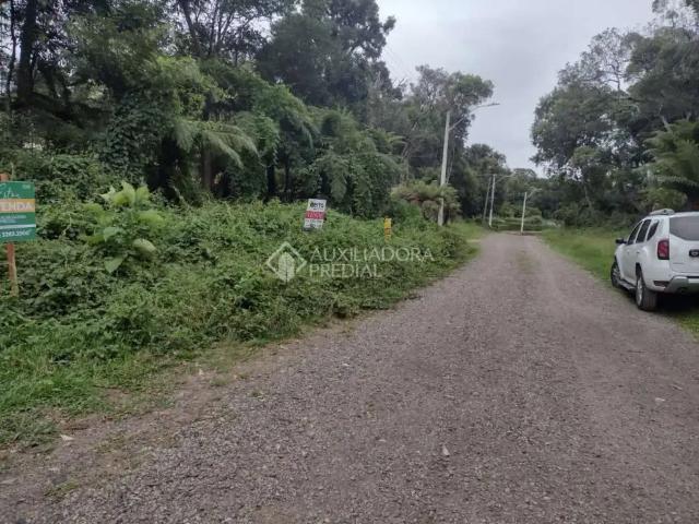 Terreno venda em Região Geográfica Imediata de Caxias do Sul, Canela