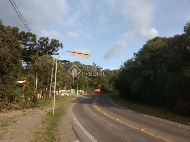 Terreno venda em Região Geográfica Imediata de Caxias do Sul, Canela