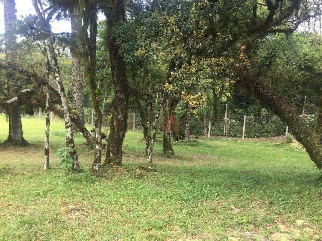 Terreno venda em Região Geográfica Imediata de Caxias do Sul, Canela