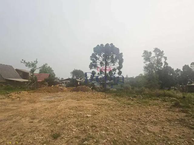 Terreno venda em Canela